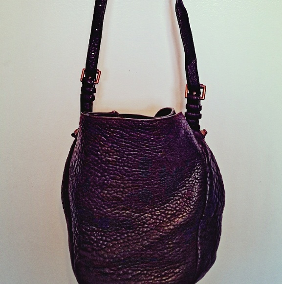 Alexander Wang Lambskin Diego Bucket bag